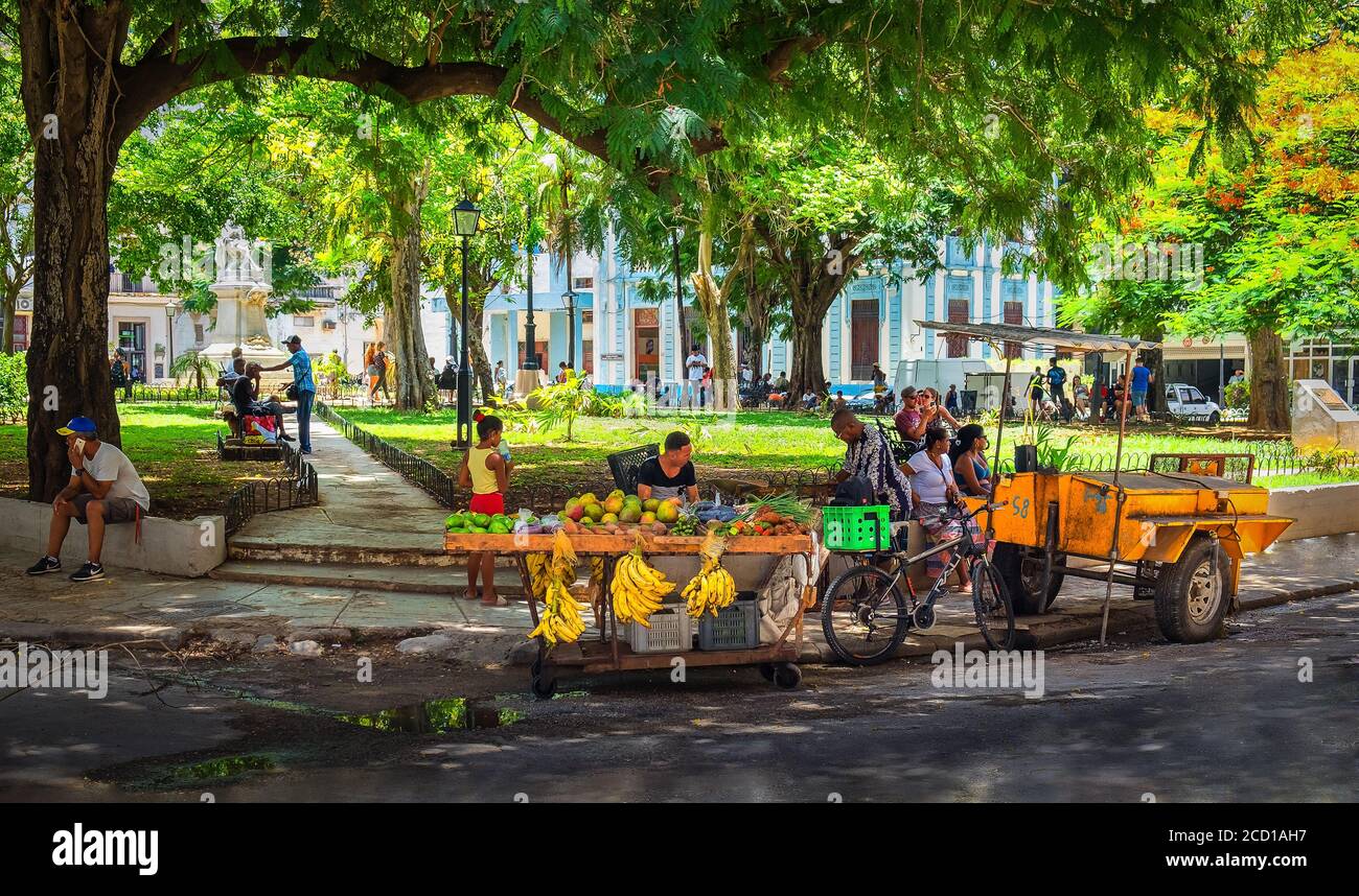 Havanna, Kuba, Juli 2019, Obstverkäufer an einem Platz im ältesten Teil der Stadt Stockfoto