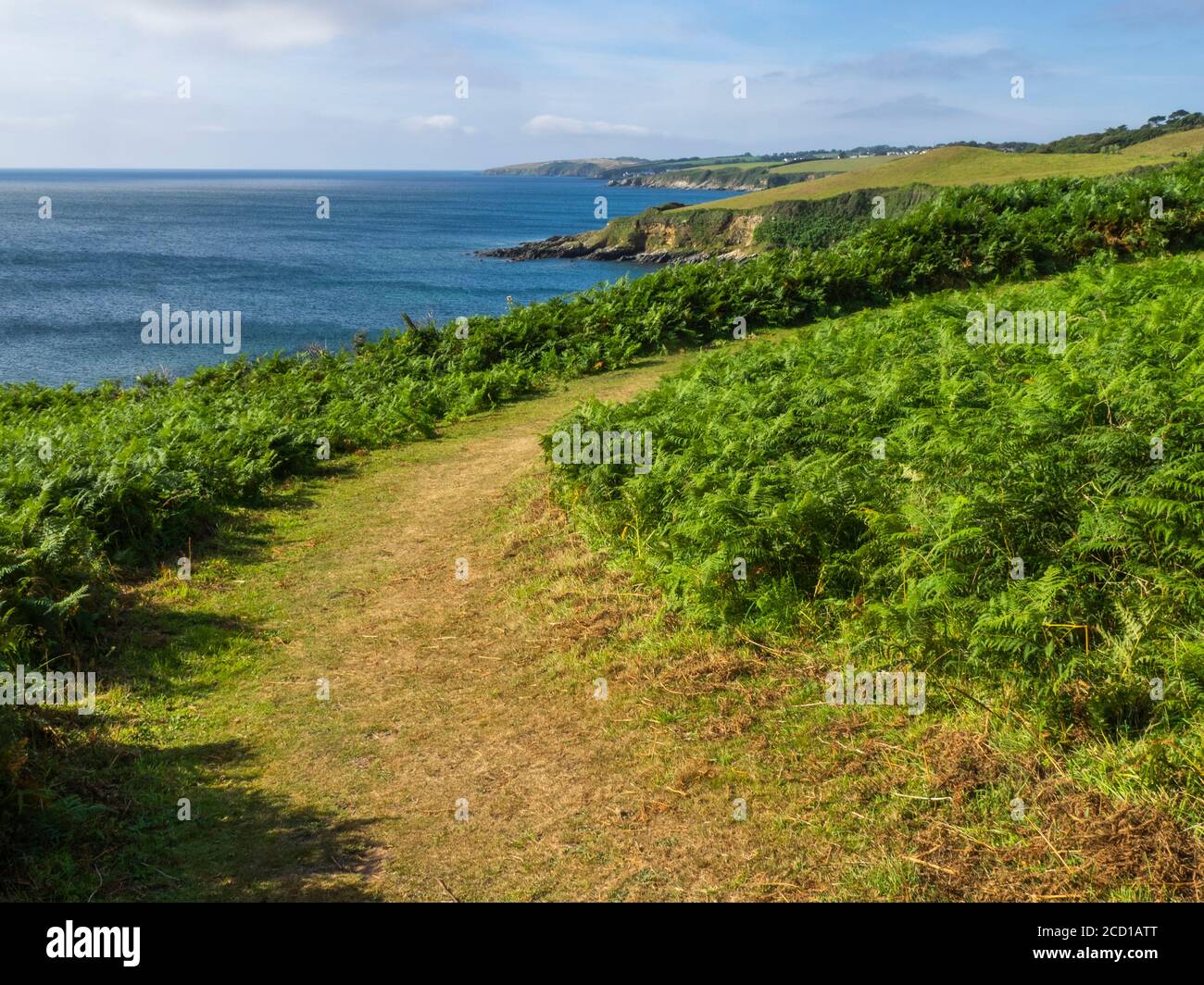 Der Southwwest Coast Pfad zwischen Carne Beach und Portscatho, Cornwall, Großbritannien Stockfoto