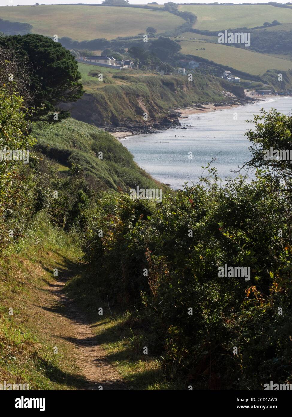 Südwestküstenweg nach Carne Beach, Roseland Peninsula, Cornwall, Großbritannien Stockfoto