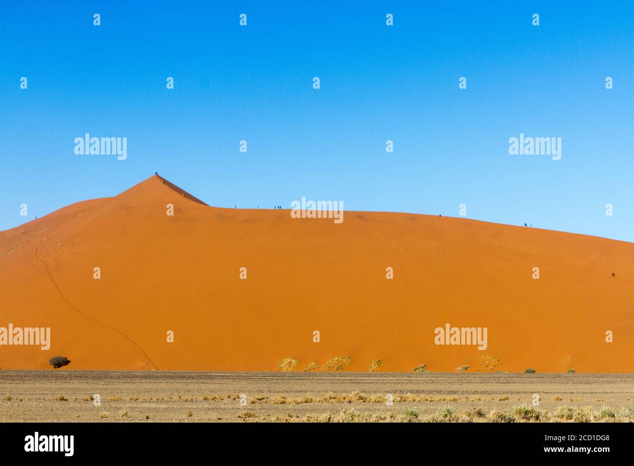 Rote Düne von Sossusvlei in Namibia, die Teil der Namib Sandsee sind, die 2013 von der UNESCO zum Weltkulturerbe erklärt wurde. Stockfoto