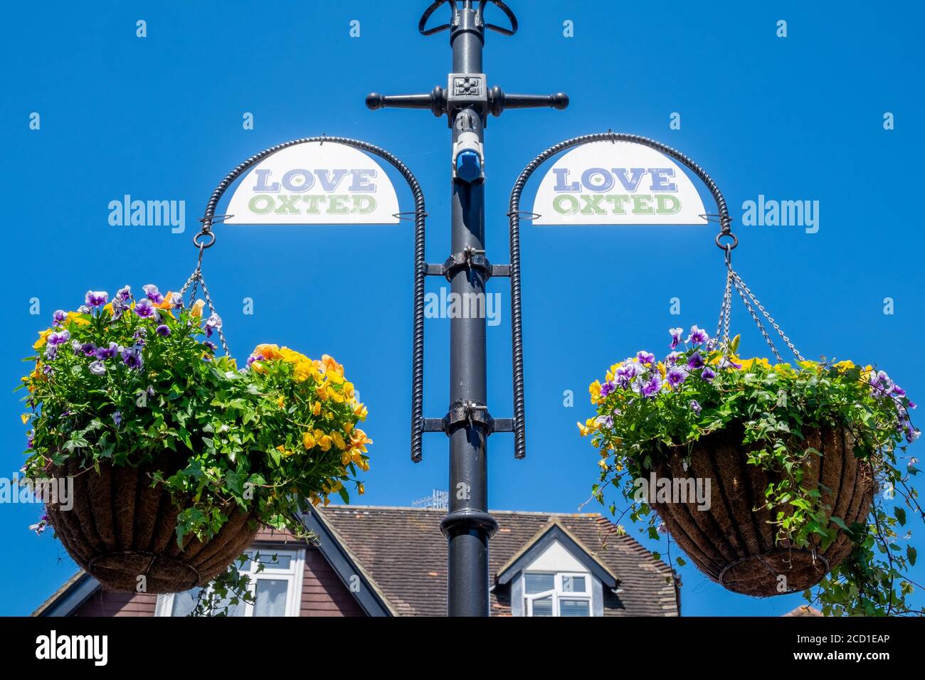 Liebe Oxted Blumentöpfe hängen von einem Lampost, Oxted, Surrey, England, GB Stockfoto