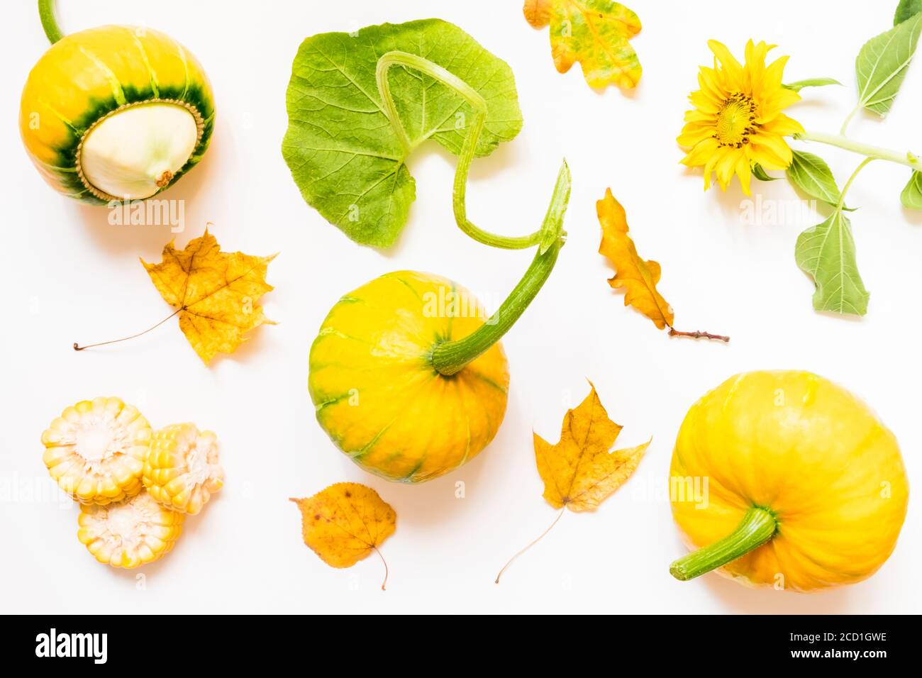 Herbsthintergrund mit gelben Blättern und Gemüse. Draufsicht und flache Lage. Stockfoto