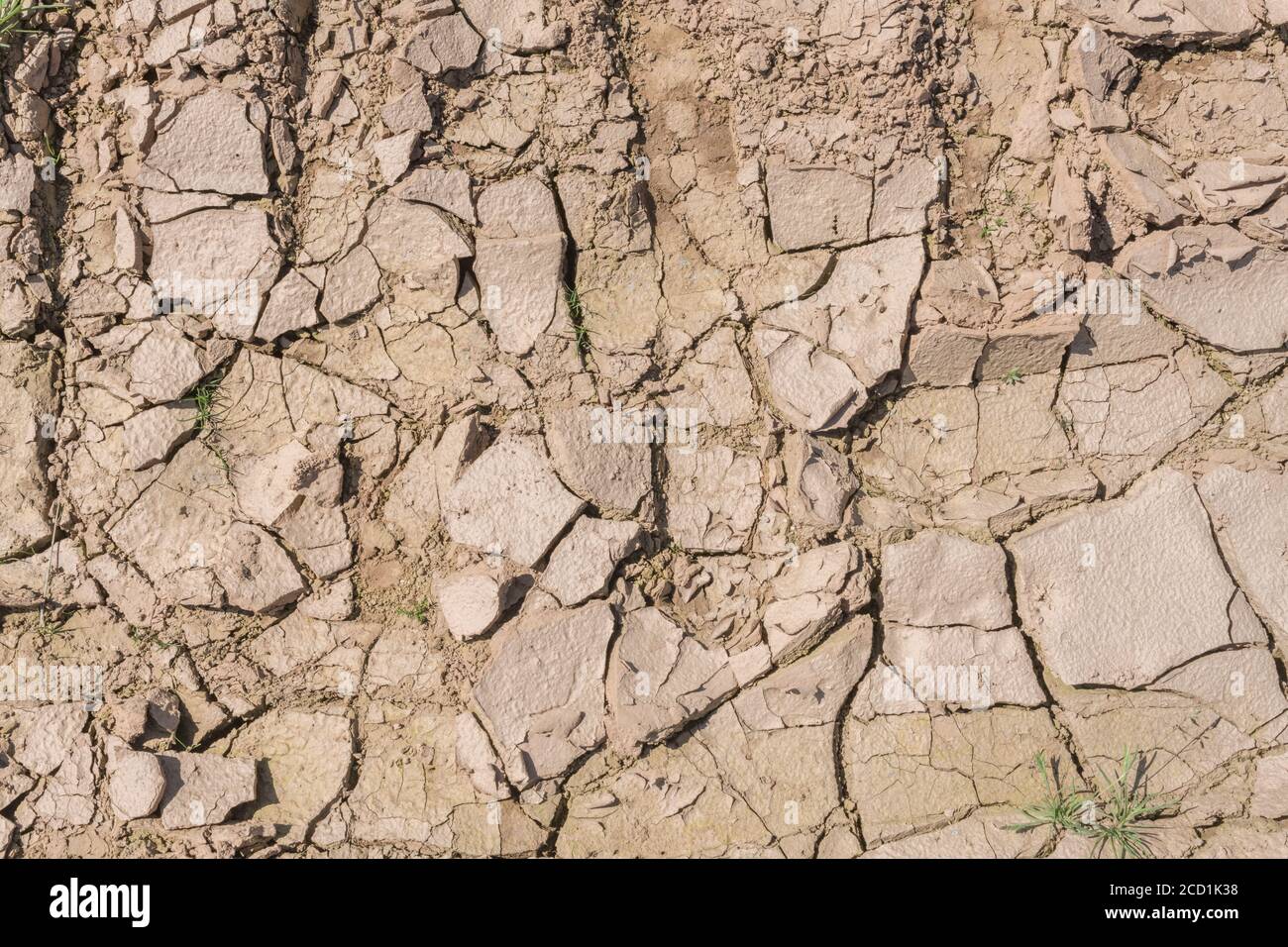 Boden verkrustet im Feld zeigt Risse, wie Schlamm austrocknet und Feuchtigkeit verdunstet. Für Bodenwissenschaften, Dürre in Großbritannien, Wasserknappheit, Risse bilden sich. Stockfoto