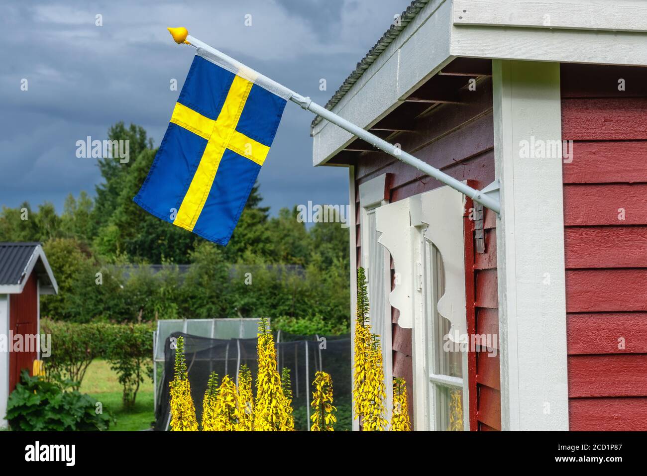 Schwedische Flagge auf traditioneller schwedischer kleiner roter Holzhütte, weißes Fenster, Tür. Sommertag nach Regen, gelbe Blumen, grüne Bäume und Greenho Stockfoto