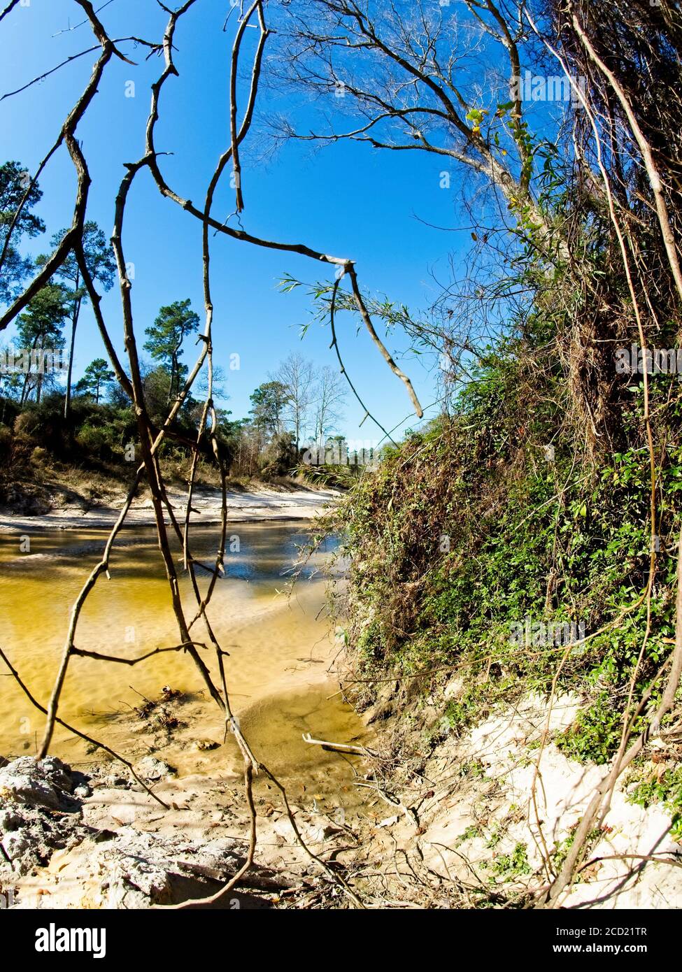 The Woodlands TX USA - 01-20-2020 - Muddy Creek und Bäume Stockfoto