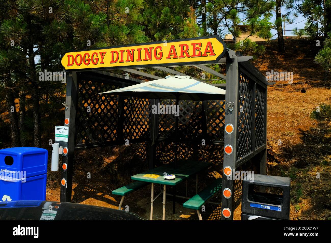 Doggy Dining Bereich außerhalb des Happy Burger Diner in Mariposa, Kalifornien, in der Nähe des Yosemite National Park; für Hunde bestimmt, während Besitzer drinnen essen. Stockfoto