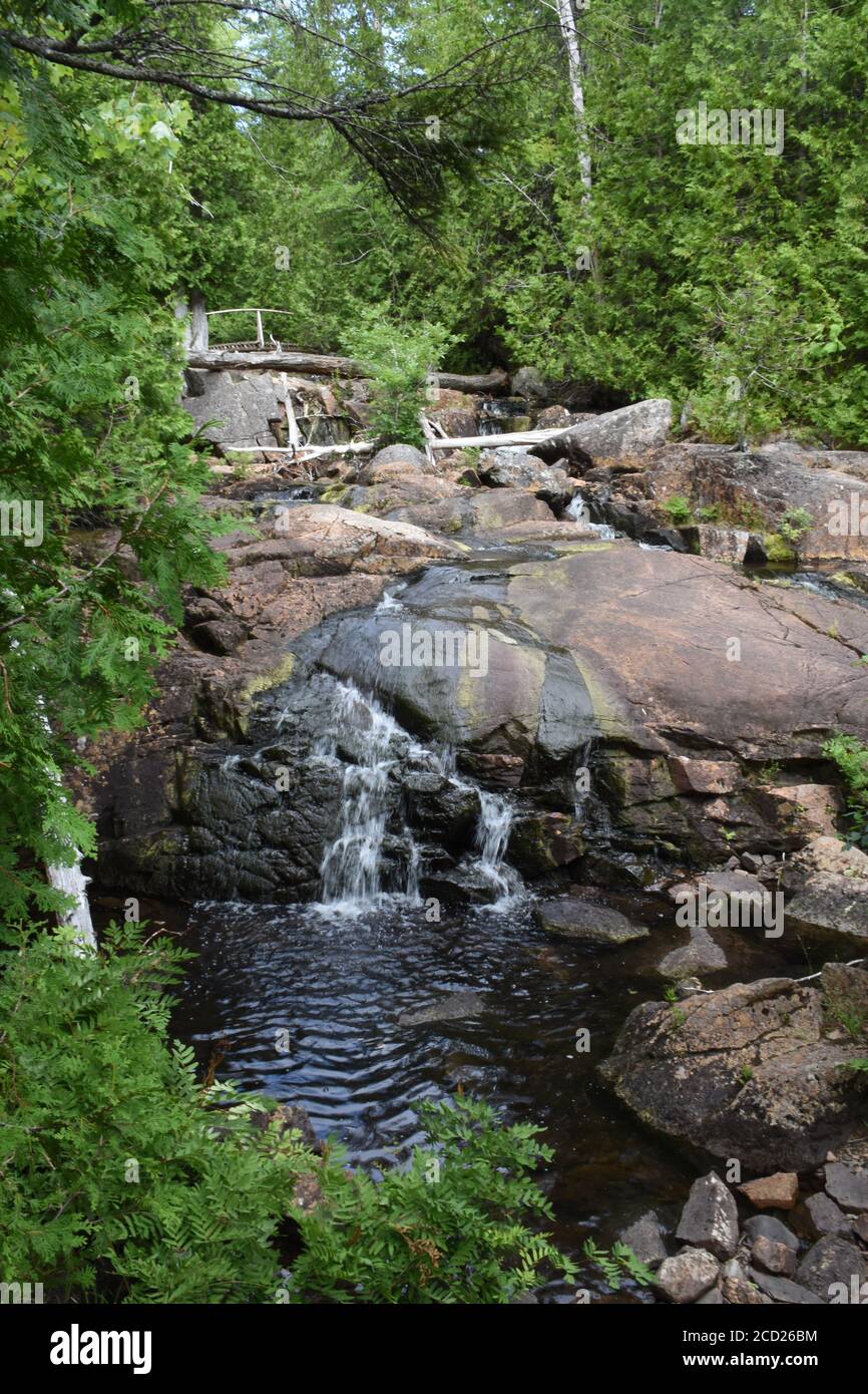 Wasserfall auf dem Hadlock Lower Teichweg in Acadia National Parken Stockfoto