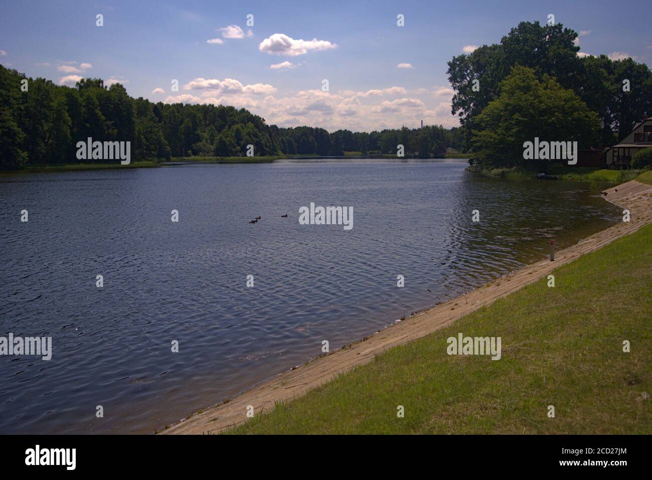 Atemberaubender See mit Bäumen in Polen Stockfoto