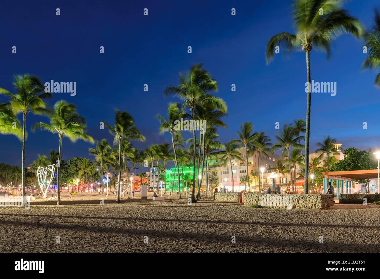 Ocean Drive in South Miami Beach mit Palmen bei Nacht in Miami Beach, Florida Stockfoto