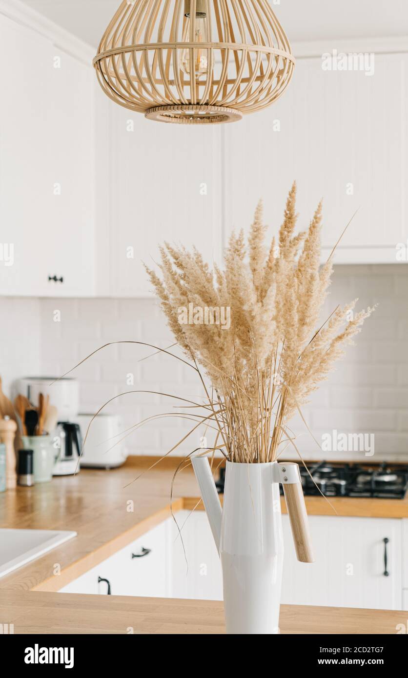 Moderne, weiße U-förmige Küche im skandinavischen Stil. Offene Regale in der Küche mit Pflanzen und Gläsern. Herbstdekoration, selektiver Fokus auf Vorgruppe Stockfoto
