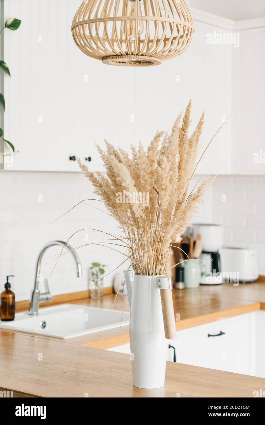 Moderne, weiße U-förmige Küche im skandinavischen Stil. Offene Regale in der Küche mit Pflanzen und Gläsern. Herbstdekoration, selektiver Fokus auf Vorgruppe Stockfoto