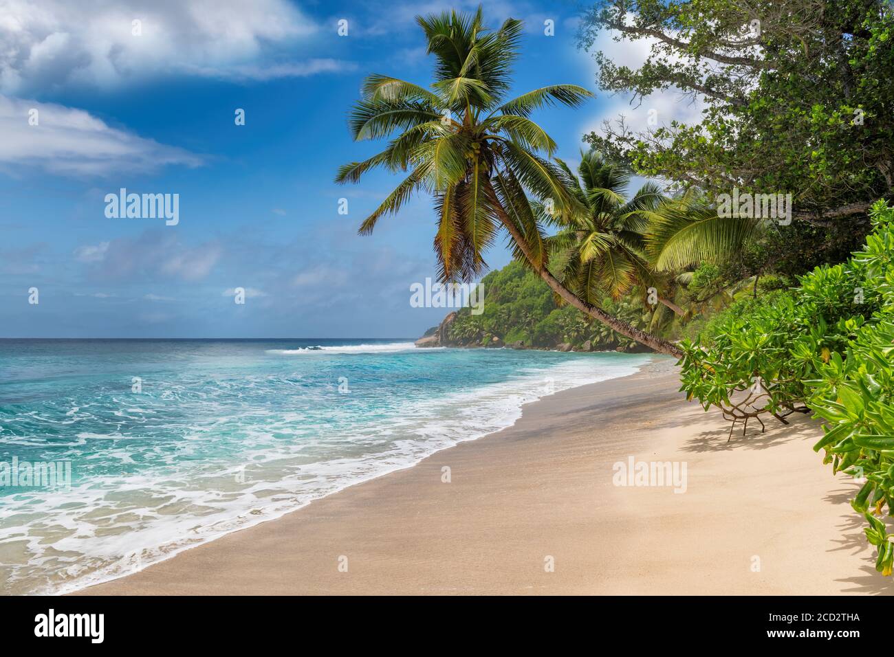 Schöner sonniger Strand und Kokospalmen Stockfoto