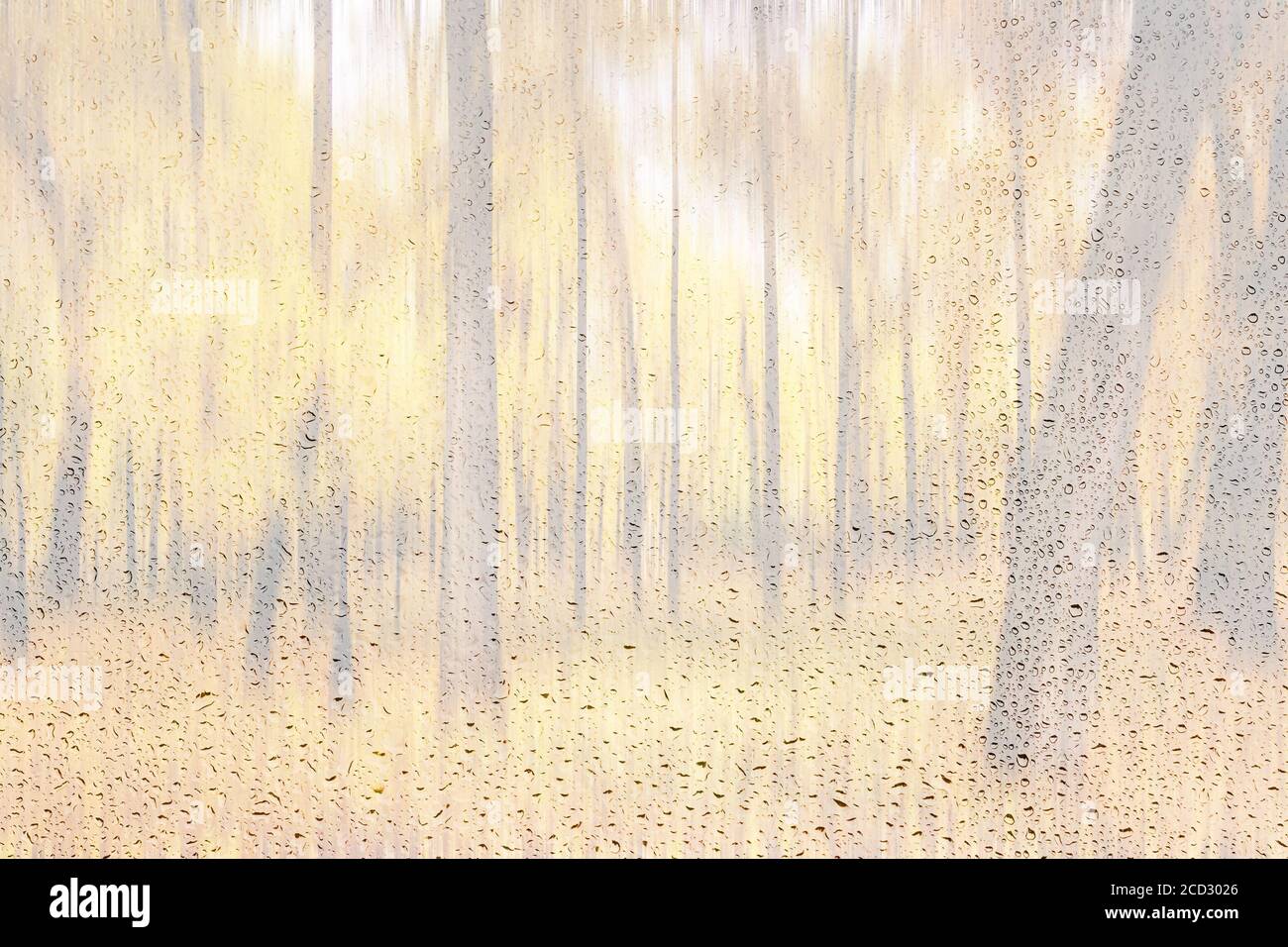 Tagespark mit gelben Ahornblättern, Pflaster und Bänken hinter nassem Regenglas im goldenen Herbst. Das Konzept von schlechtem Wetter, Wechsel der Jahreszeit und Blatt Stockfoto