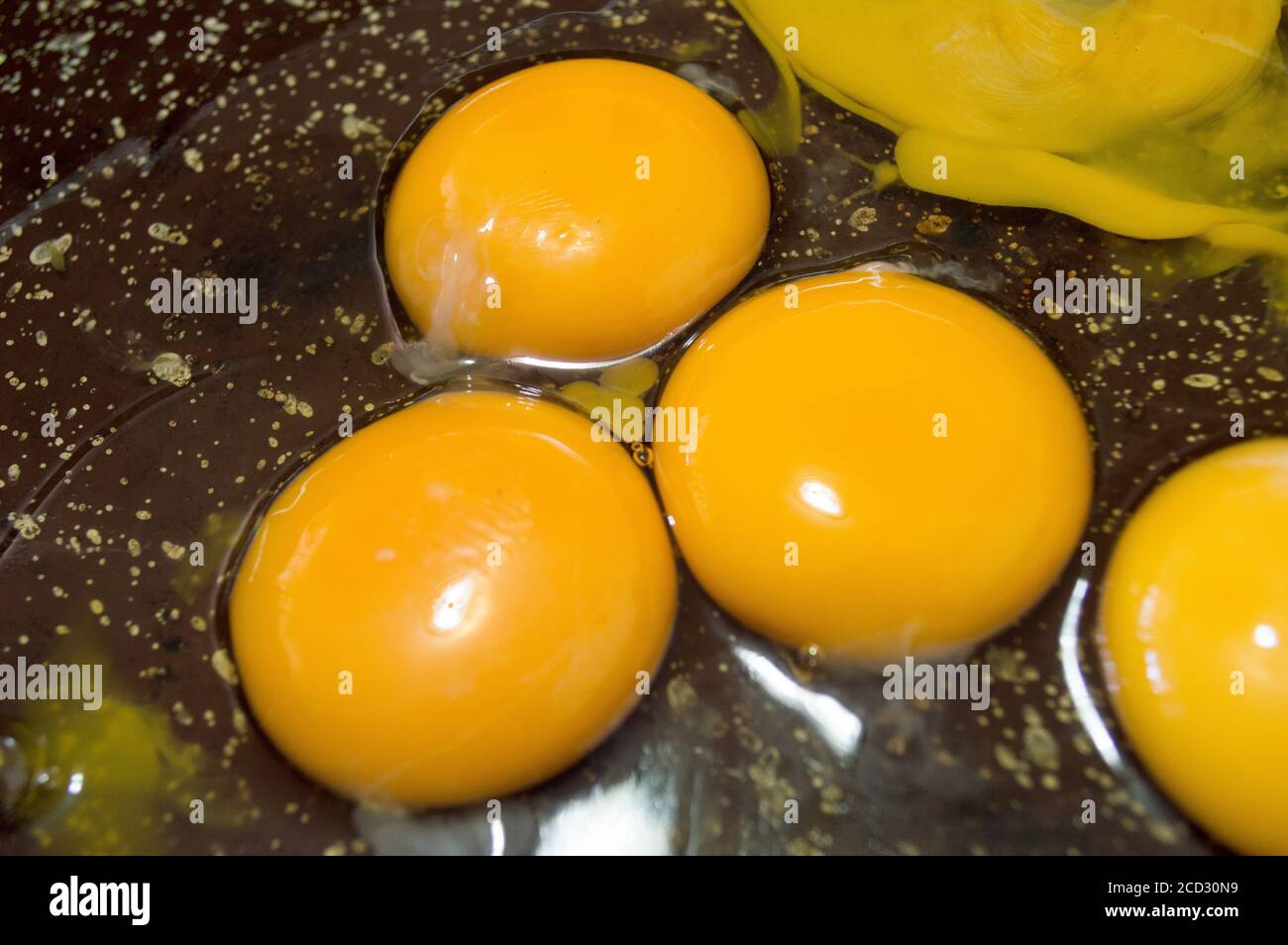 Nahaufnahme von gelben Eigelb Stockfoto