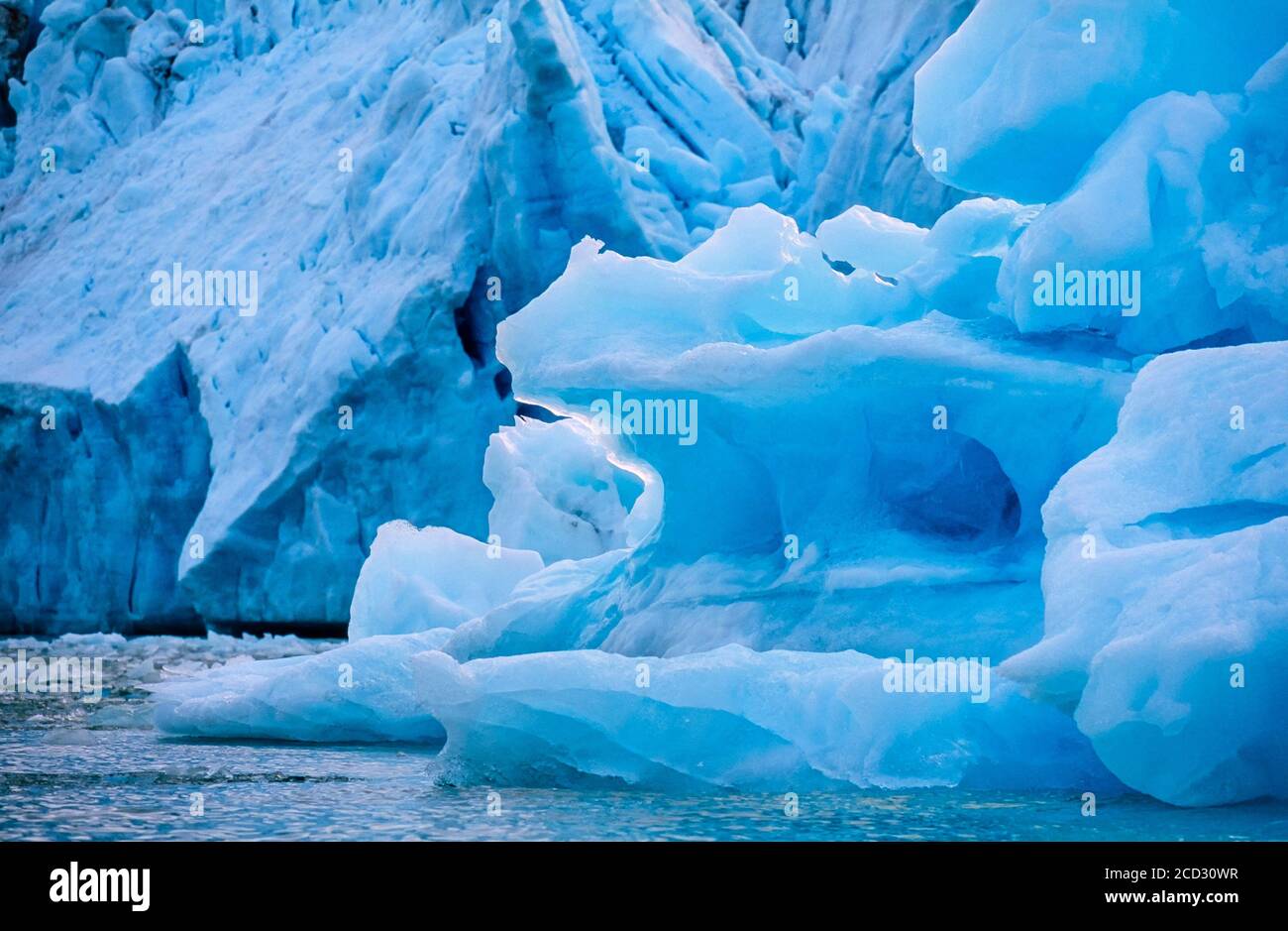 Schwimmende Eisberge von einem Gletscher auf dem Meer Stockfoto
