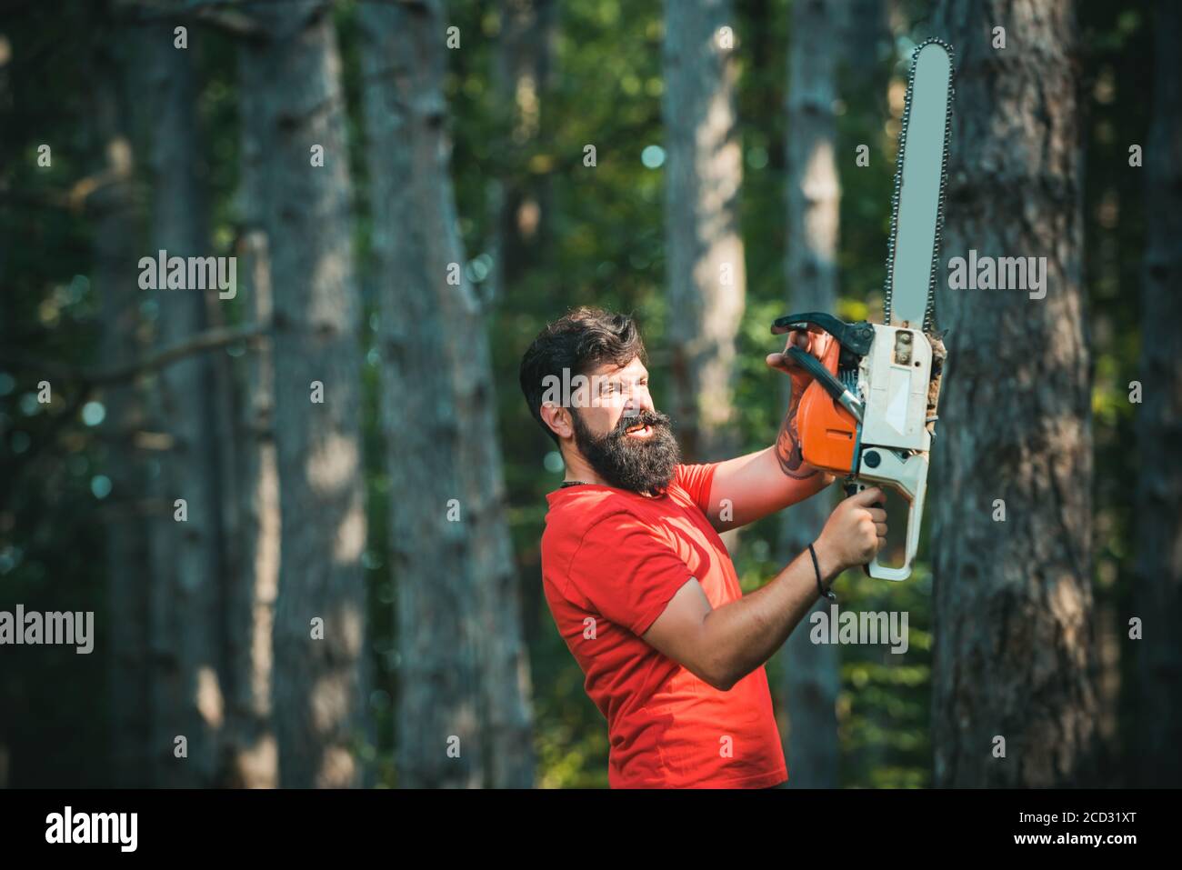 Holzfäller, der mit Kettensäge im Wald herumläuft. Professionelle Holzfäller halten Kettensäge im Wald. Illegaler Holzeinschlag geht heute weiter Stockfoto