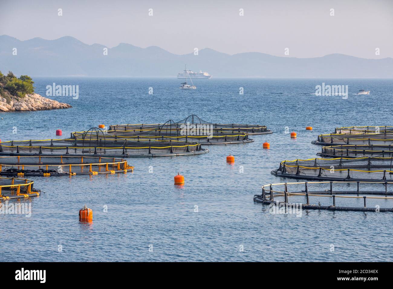 Fischfarm in Kroatien Stockfoto