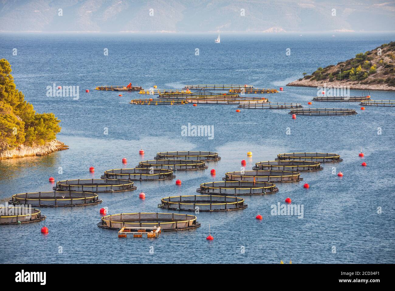 Fischfarm in Kroatien Stockfoto