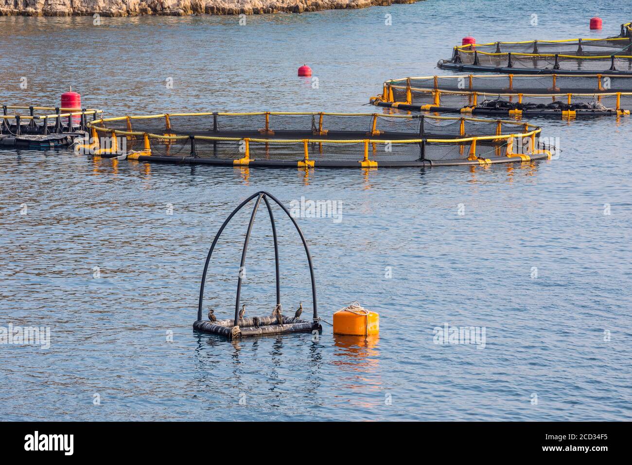 Fischfarm in Kroatien Stockfoto