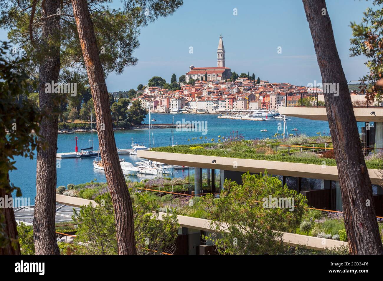 Blick auf die Altstadt von Rovinj über den Grand Park Hotel Stockfoto