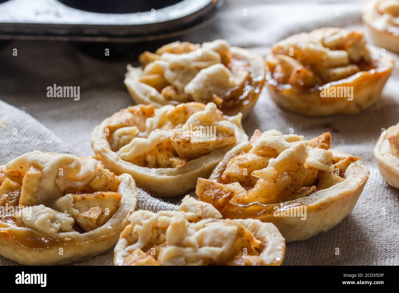 Kleine Apfelkuchen mit Zimt und Teig Dekoration - Apfel Tart-Lets Nahaufnahme mit selektivem Fokus Stockfoto