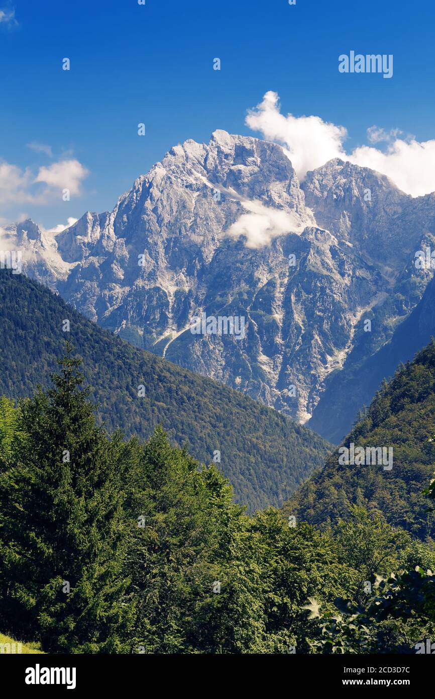 Alpine Berggipfel Veliki Ozebnik mit wenigen Wolken von Hügeln von Nadelwäldern umgeben. Bergsteigen, Alpinismus, Natur- und Forstkonzepte Stockfoto