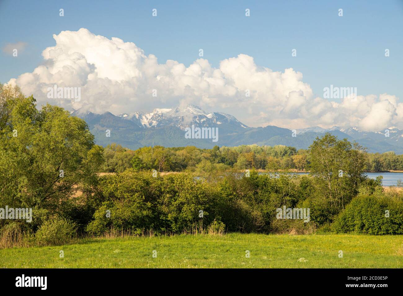 Cumulus Wolken über der Kampenwand, Deutschland, Bayern, Chiemsee, Grabenstaett Stockfoto