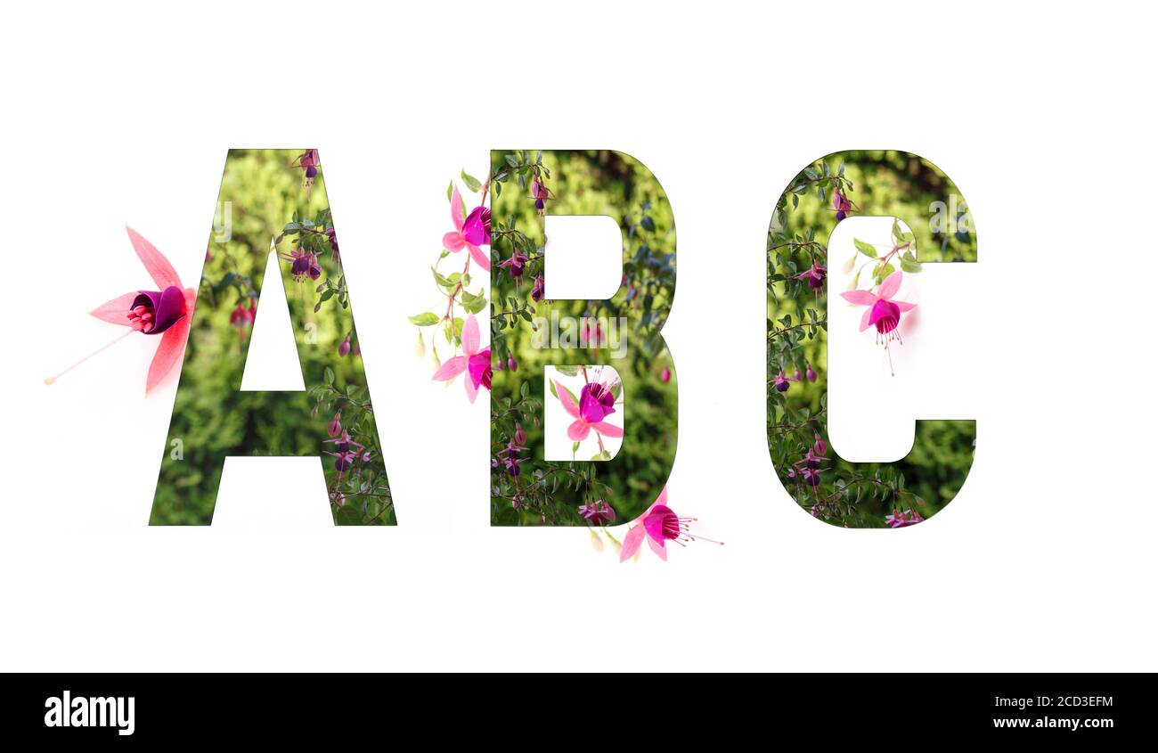Florales Alphabet, Fuchsia, Buchstaben A B C floral, Konzept des Frühlings, Sommer Stockfoto