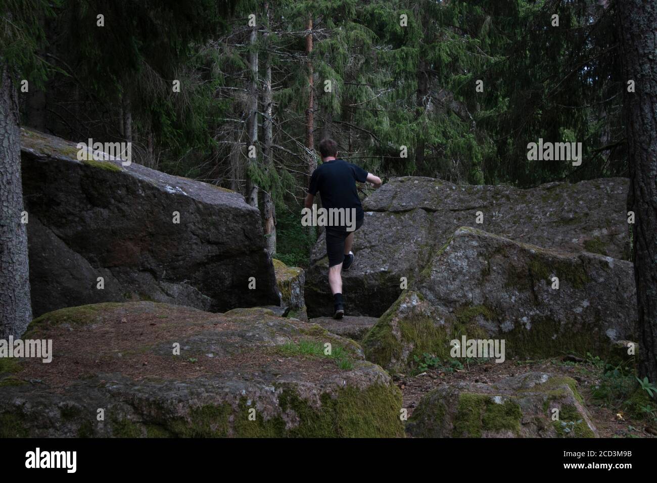 Mann, der auf einem großen Felsen im Wald in estland, hiiumaa, tritt Stockfoto