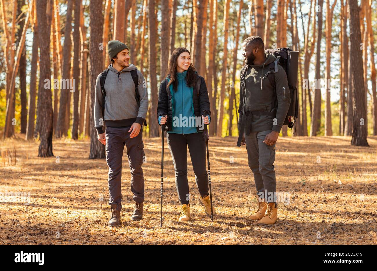 Fröhliche Rucksacktouristen, die durch den Wald spazieren und reden Stockfoto