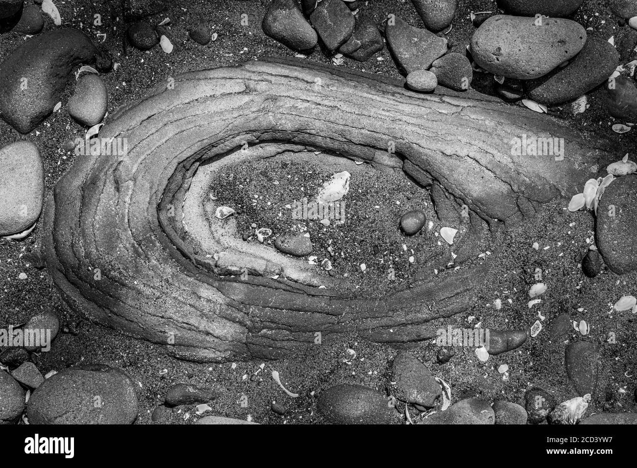 Nahaufnahme von geologischen Schlammsteinformationen am Buckleton Beach, Neuseeland. Stockfoto