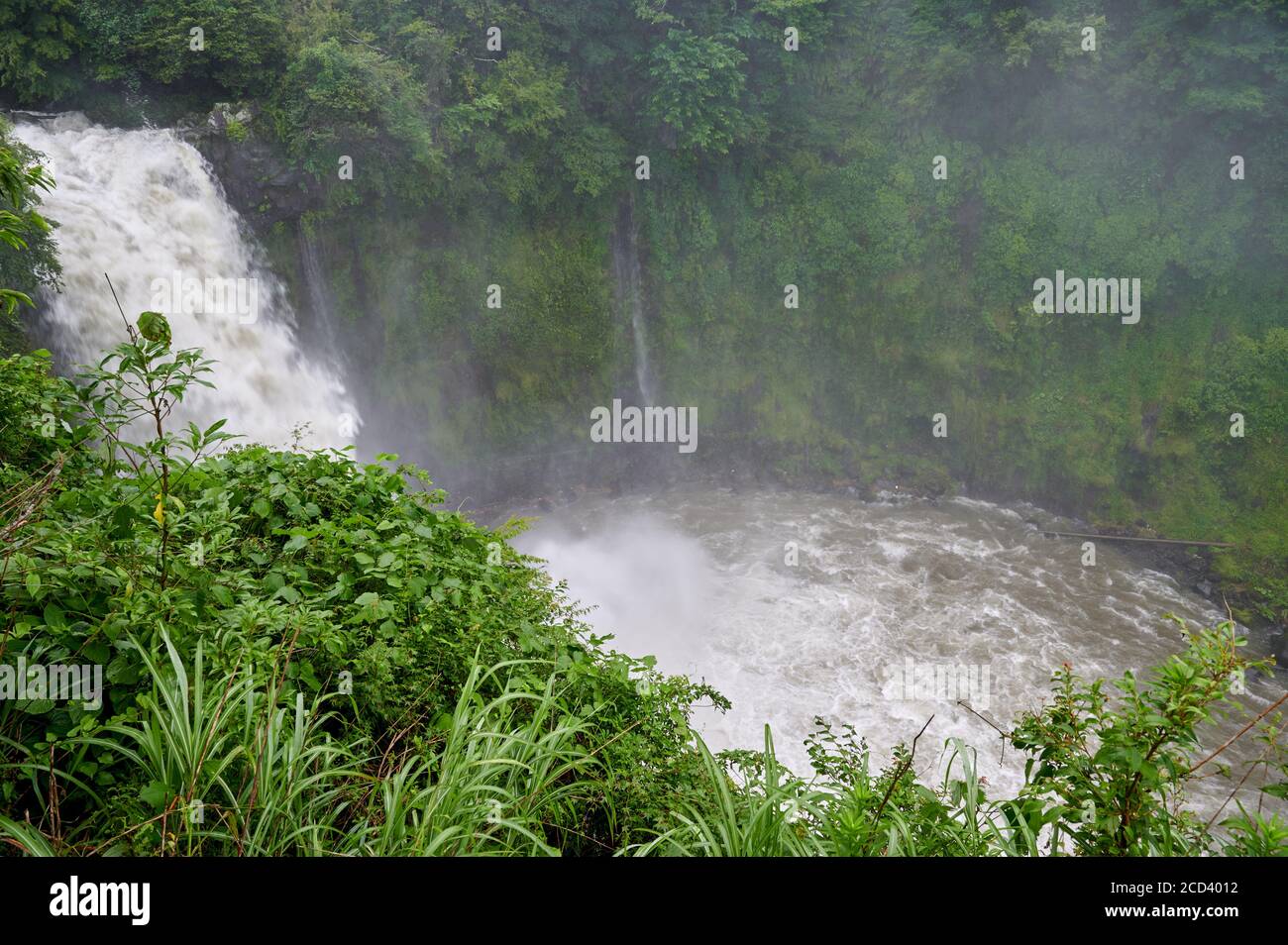 Hochwasser bei den Otodome Falls während der Regenzeit. Tosender Wasserfall. Stockfoto