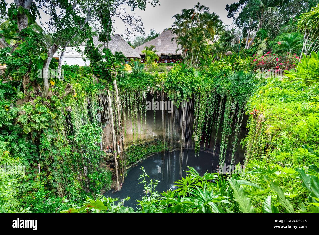 Ik-Kil Cenote, Chichen Itza, Mexiko. Schöne Cenote mit transparentem Wasser und hängenden Wurzeln, Mittelamerika. Stockfoto