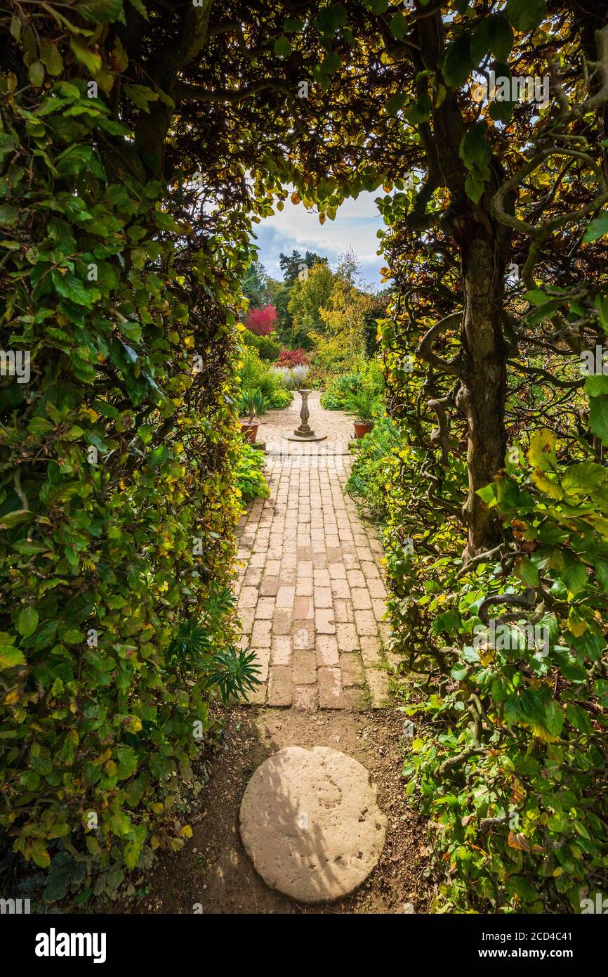 Durch die Buchenhecke in das nächste 'Gartenzimmer' im Hidcot Manor, England Stockfoto