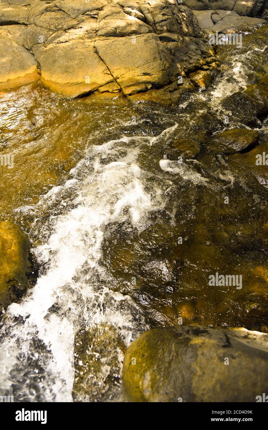 Bergfluss mitten im grünen Wald. Stockfoto