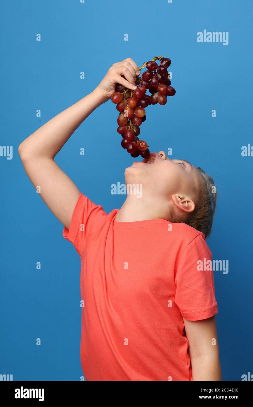 Obst Ernährung des Kindes, Junge essen rote Trauben, Porträt eines Jungen auf einem blauen Hintergrund. Stockfoto