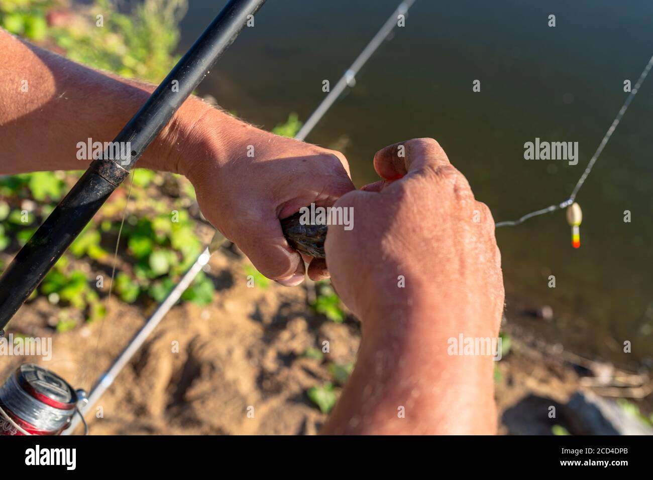 Angler, der einen fisch hält -Fotos und -Bildmaterial in hoher Auflösung -  Seite 3 - Alamy