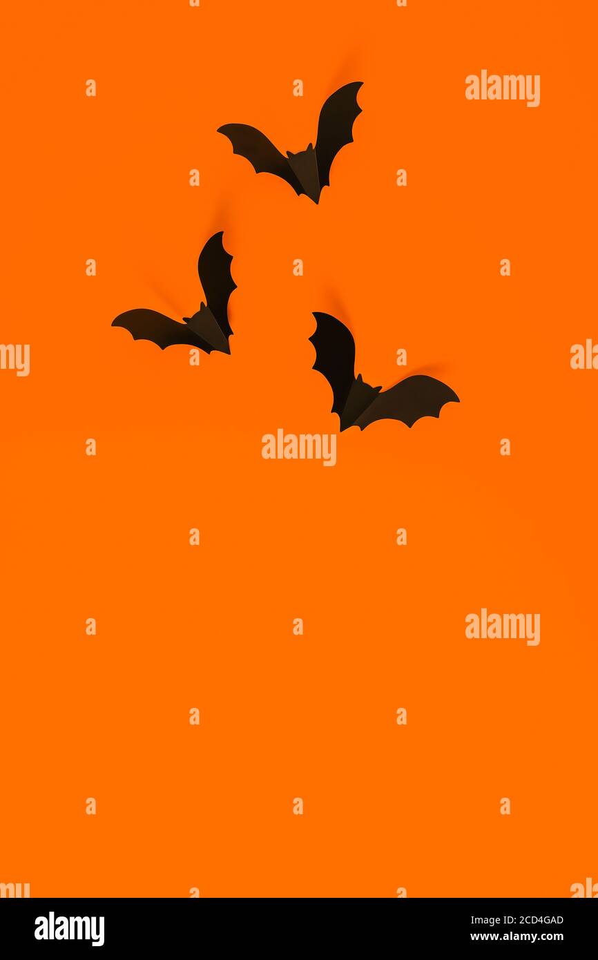 Cartoon halloween Hintergrund schwarze Fledermäuse auf orangen Hintergrund. Helle Urlaubskulisse für Ihr Design. Dunkler und launischer Hintergrund. Für Text platzieren. Stockfoto