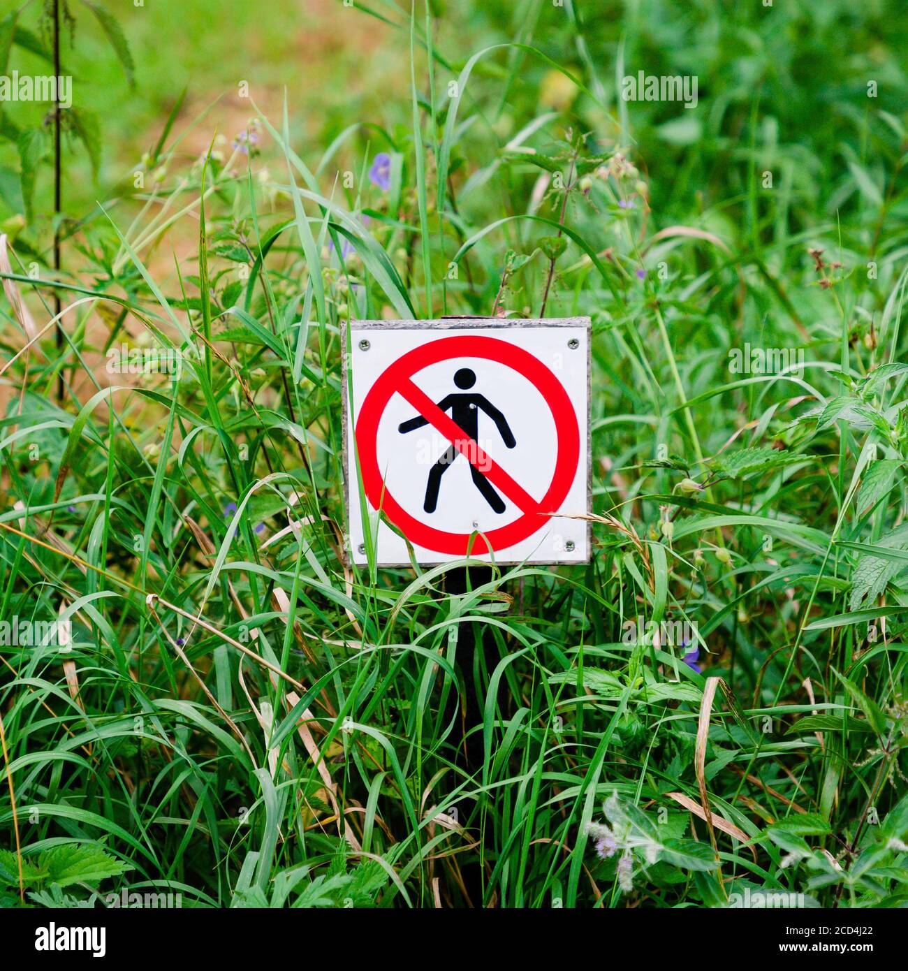 Rotes rundes Verbotsschild mit einer schwarzen Silhouette eines Mann durchgestrichen Stockfoto