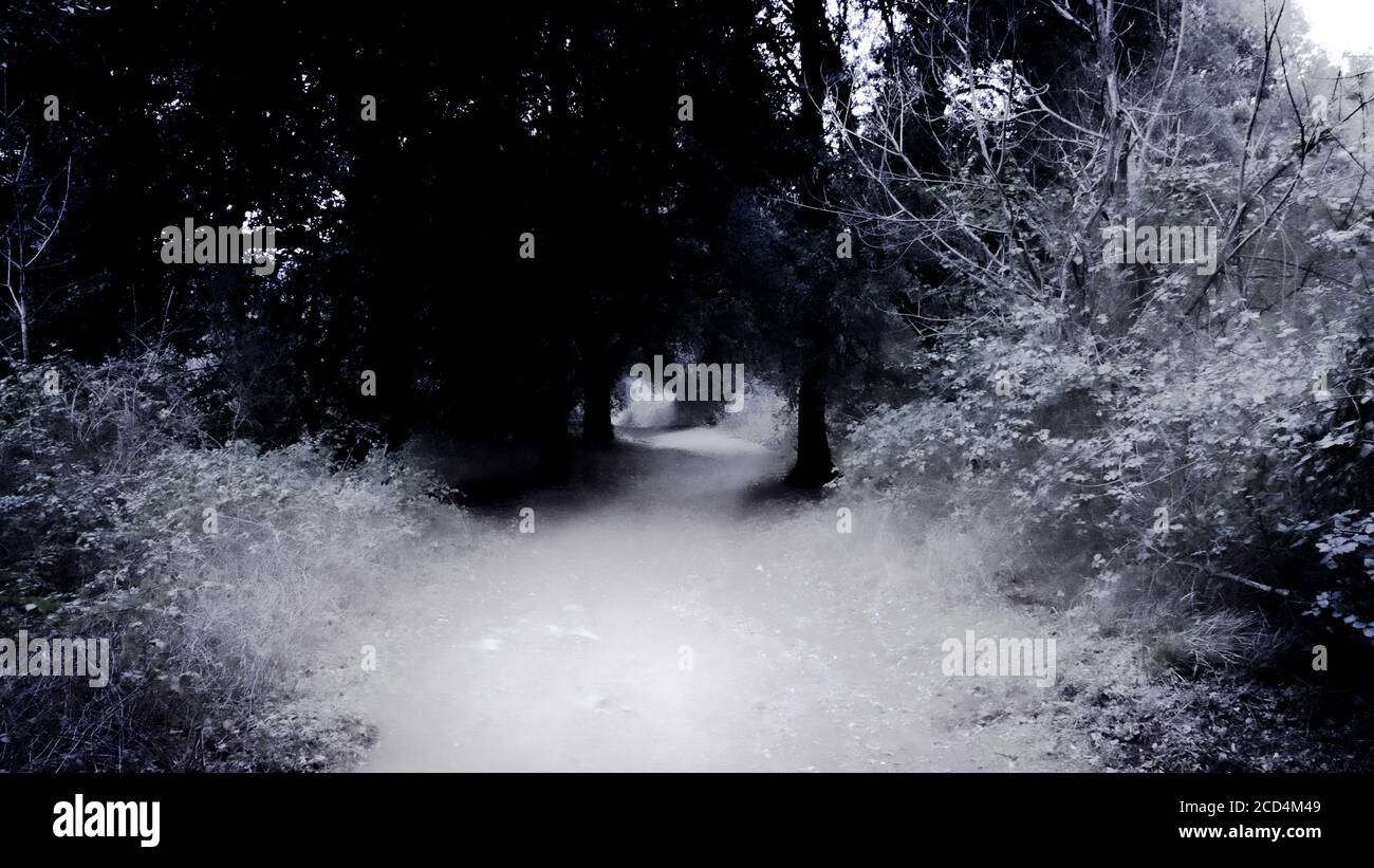 Ein Alptraum. Stockfoto