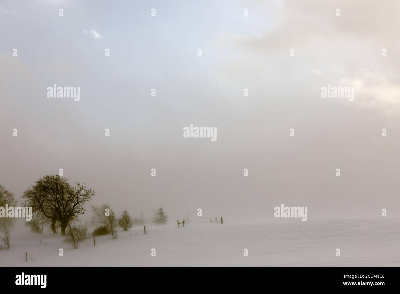 Mohawk Valley, New York State: Schneebedeckte Felder an einem sehr kalten und windigen Morgen. Stockfoto