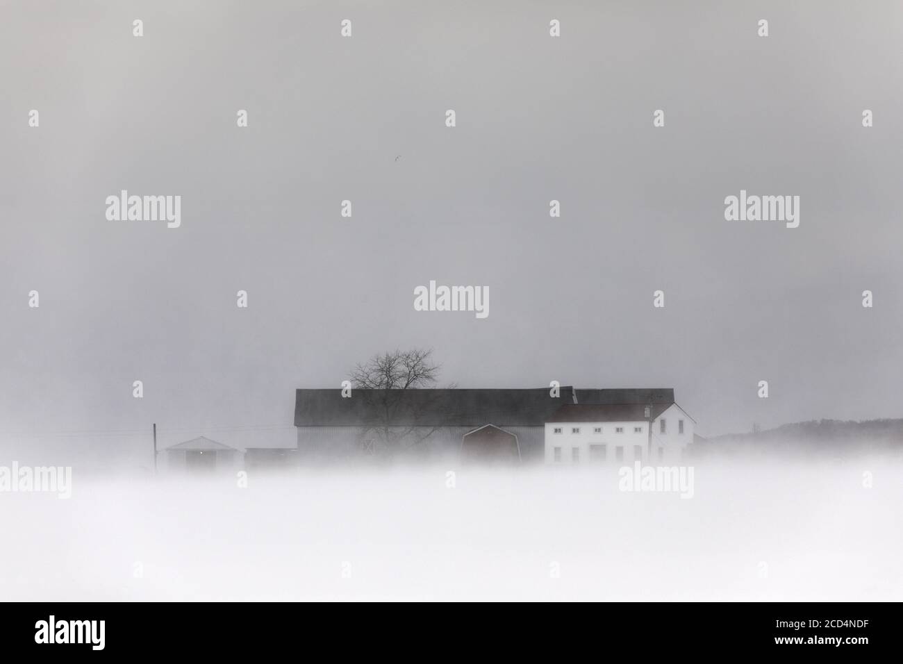 Mohawk Valley, New York State: Kalter und wehender Schnee auf einer Amish Farm. Stockfoto