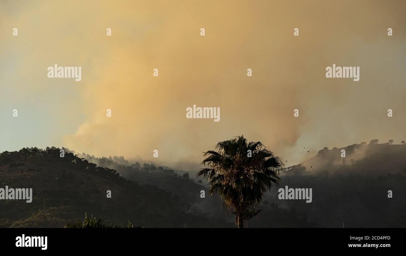 Waldbrand in Kalabrien, Italien. 2020. Stockfoto