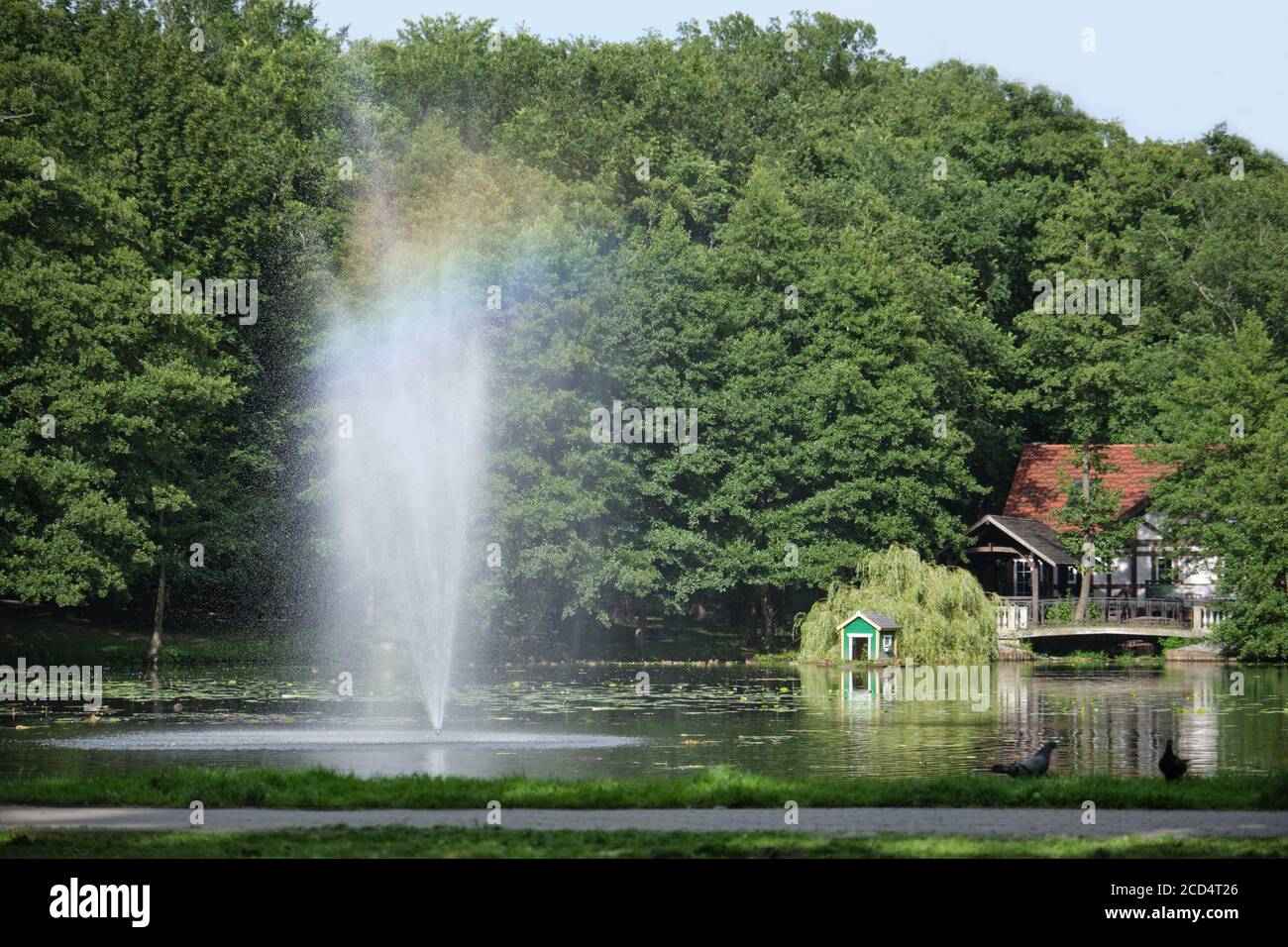 Brunnen mit Regenbogen auf Teich im sonnigen Sommerpark Stockfoto