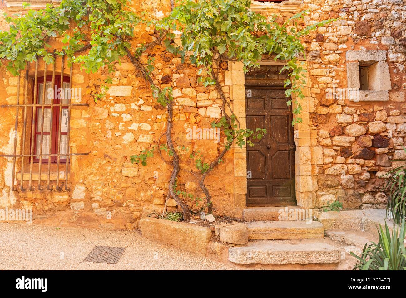 Eine Weinrebe, die am Rande eines Hauses im malerischen Dorf Roussillon, Luberon, Frankreich, wächst Stockfoto