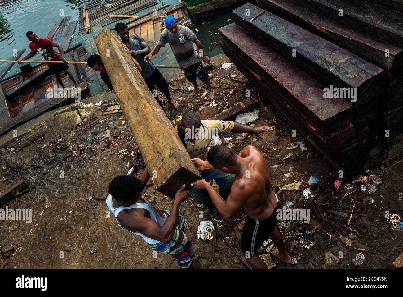 Afro-kolumbianische Arbeiter tragen ein grobes Schnittholz, das aus dem pazifischen Regenwald gewonnen wird, während des Holztransports im Hafen von Turbo, Kolumbien. Stockfoto