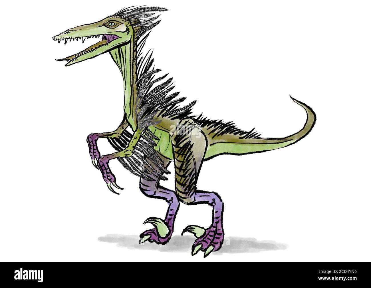 Ein Velociraptor Dinosaurier mit Gefieder Federn Illustration Stockfoto