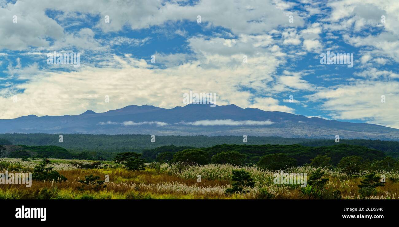 Landschaft mit Blick auf den Mauna Kea Vulkan, Honomu, bei Hilo, Hawaii Inseln, USA Stockfoto