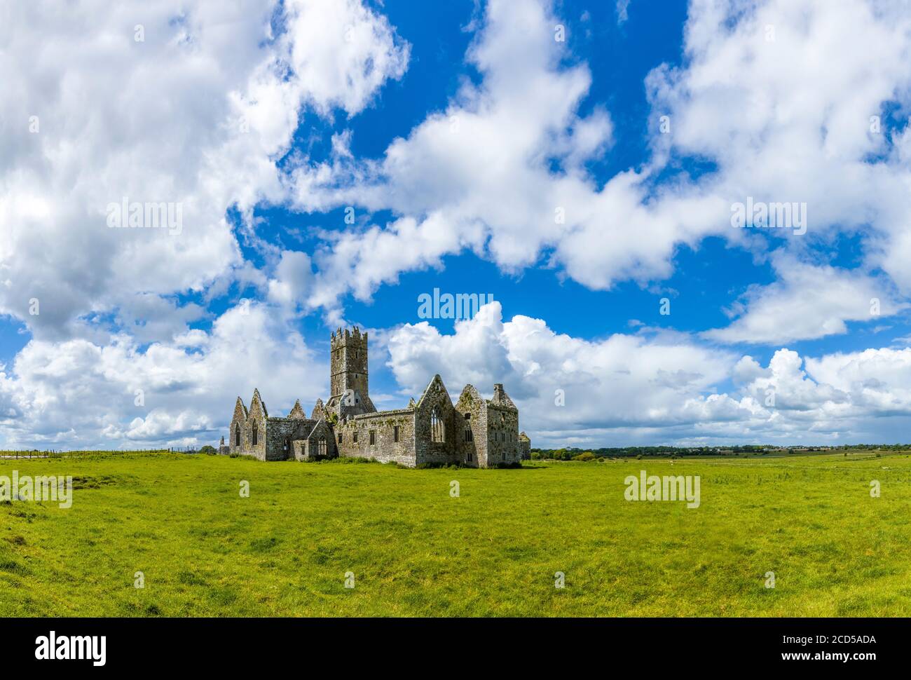 Ruinen des Rosserrilly Friary in der Grafschaft Galway, Irland Stockfoto