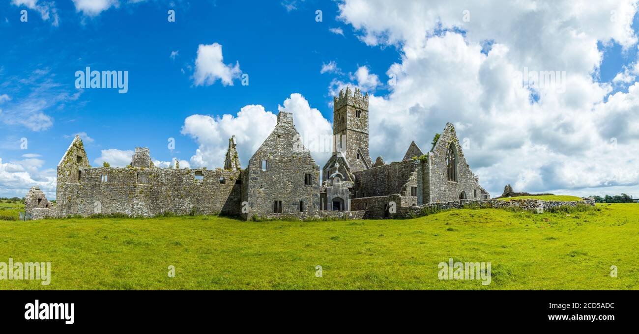 Ruinen des Rosserrilly Friary in der Grafschaft Galway, Irland Stockfoto